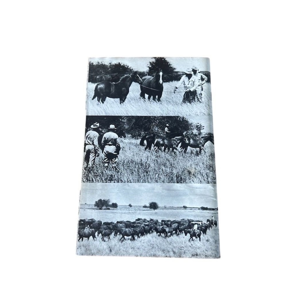 AQHA Training Riding Horses Booklet Unisex OS Blue Vintage Western Guide - Picture 4 of 11